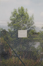 Floden 2004